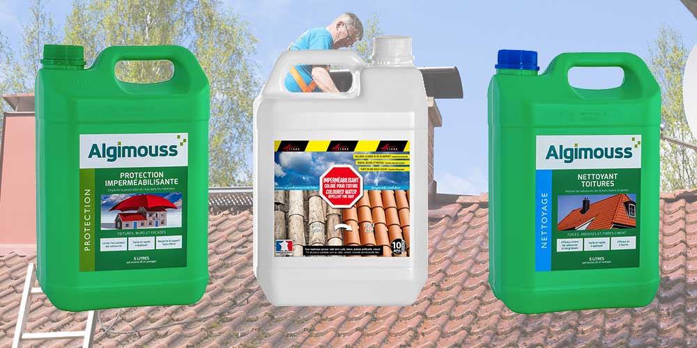 HYDROFUGE NETTOYAGE TOITURE TOITURE ALBI 81 TARN