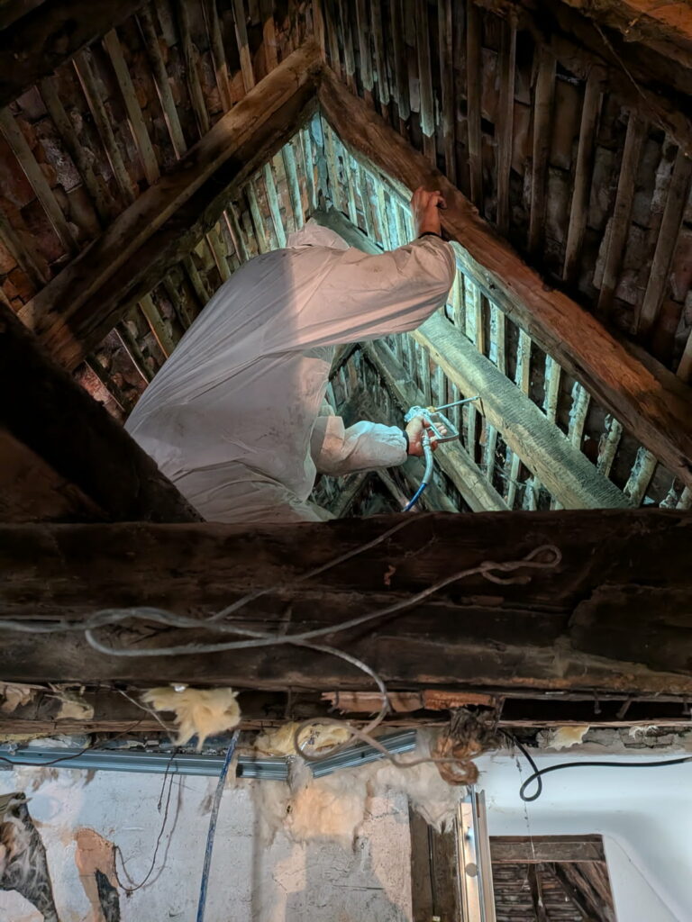 TRAITEMENT CHARPENTE BOIS COUVREUR ALBI 81 TARN